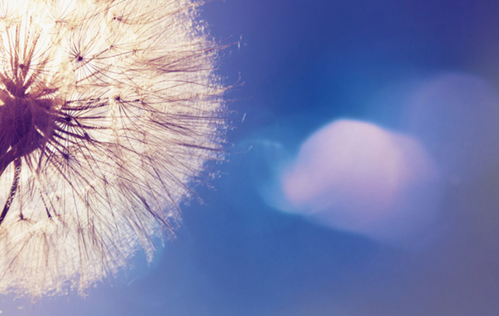 304am永利集团官网(中国)有限公司-Official Website